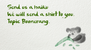 Boomerang Haikus from All of You